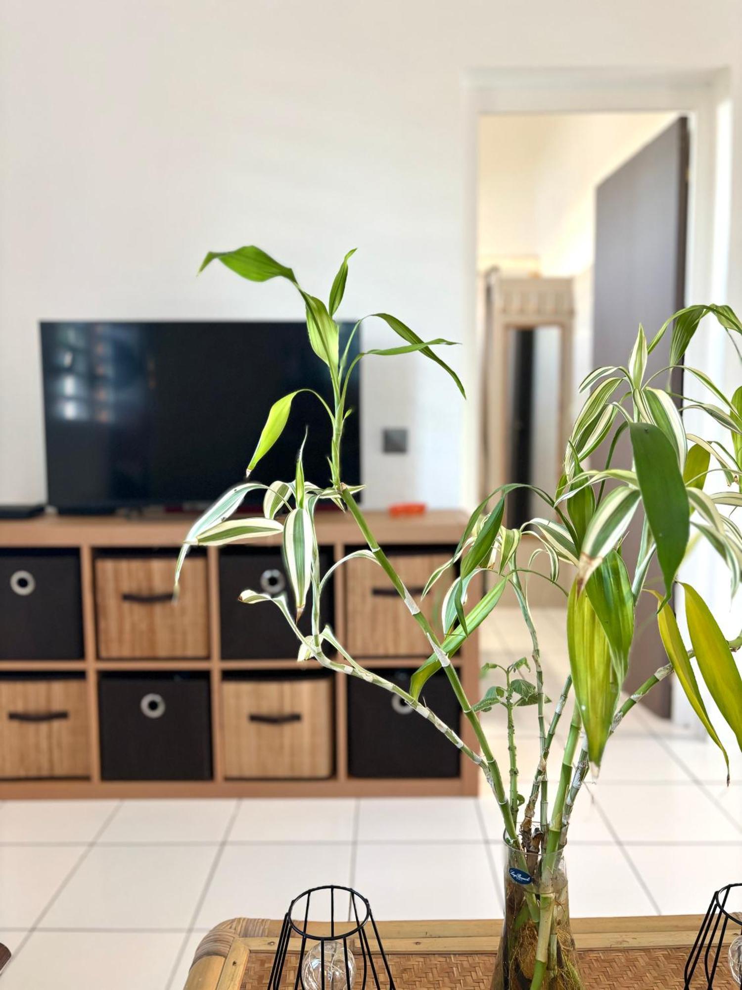 Le Gite Ohana - Proches Des Plages Et Jardin Prive 圣弗朗索瓦 外观 照片